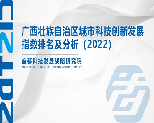 啊啊啊~操逼视频【成果发布】广西壮族自治区城市科技创新发展指数排名及分析（2022）